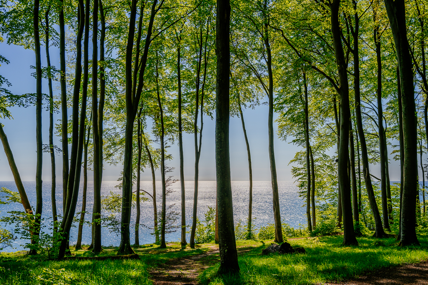 Blick aus dem Nationalpark Jasmund über die Ostsee