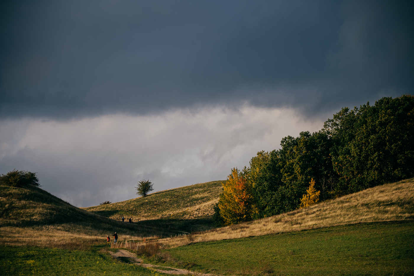 Herbst in den Zickerschen Bergen