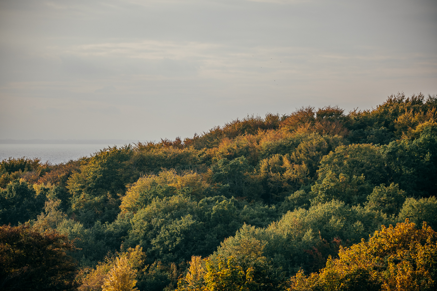 Herbst in den Zickerschen Bergen