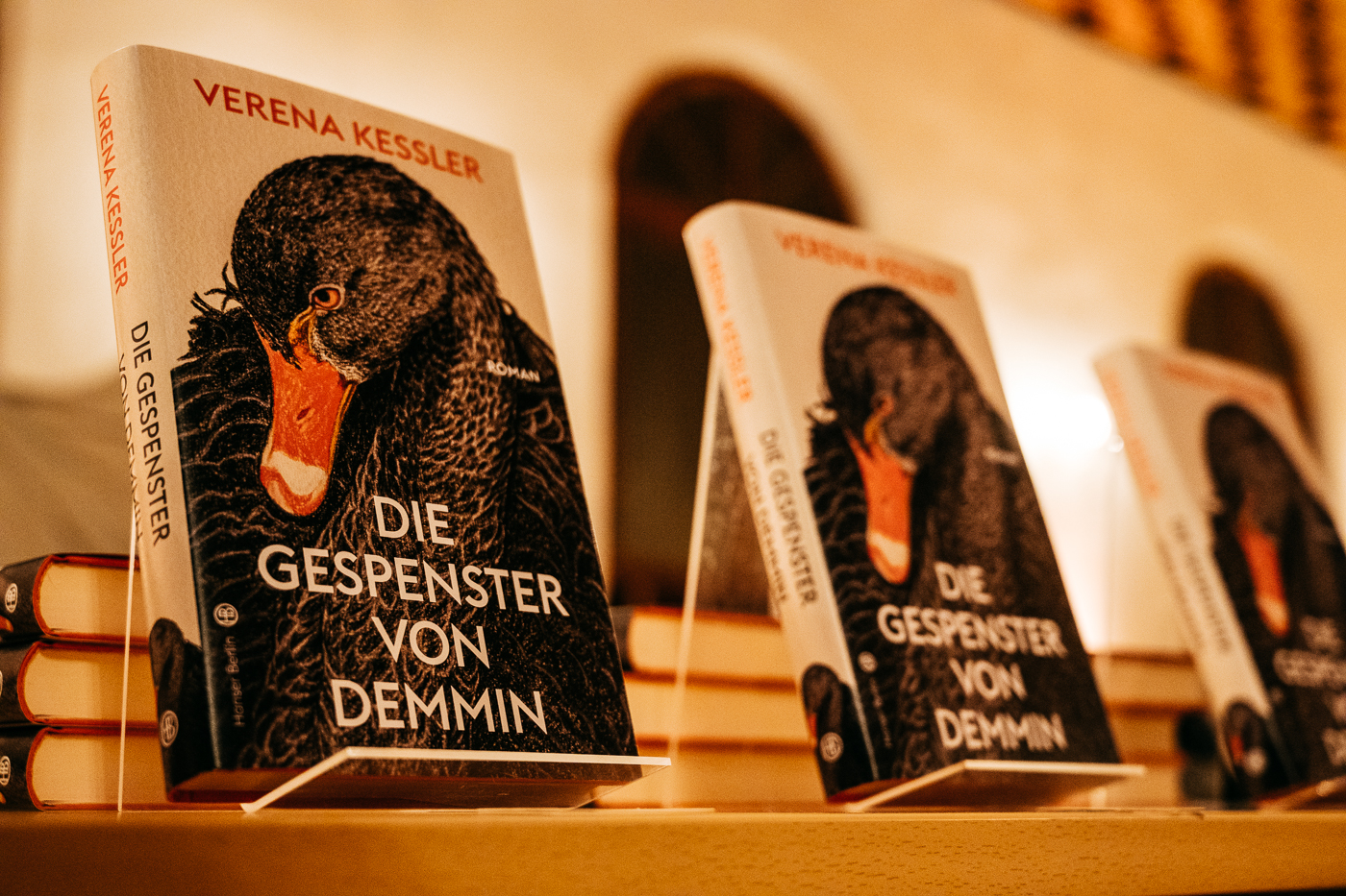 Die Gespenster von Demmin Buchcover