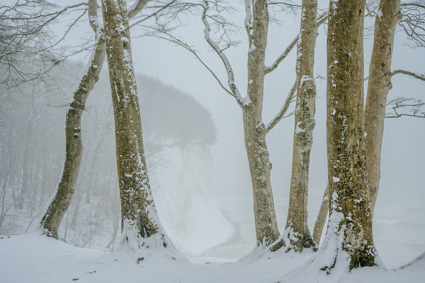 Dichtes Schneetreiben an der Kreideküste von Rügen im Nationalpark Jasmund