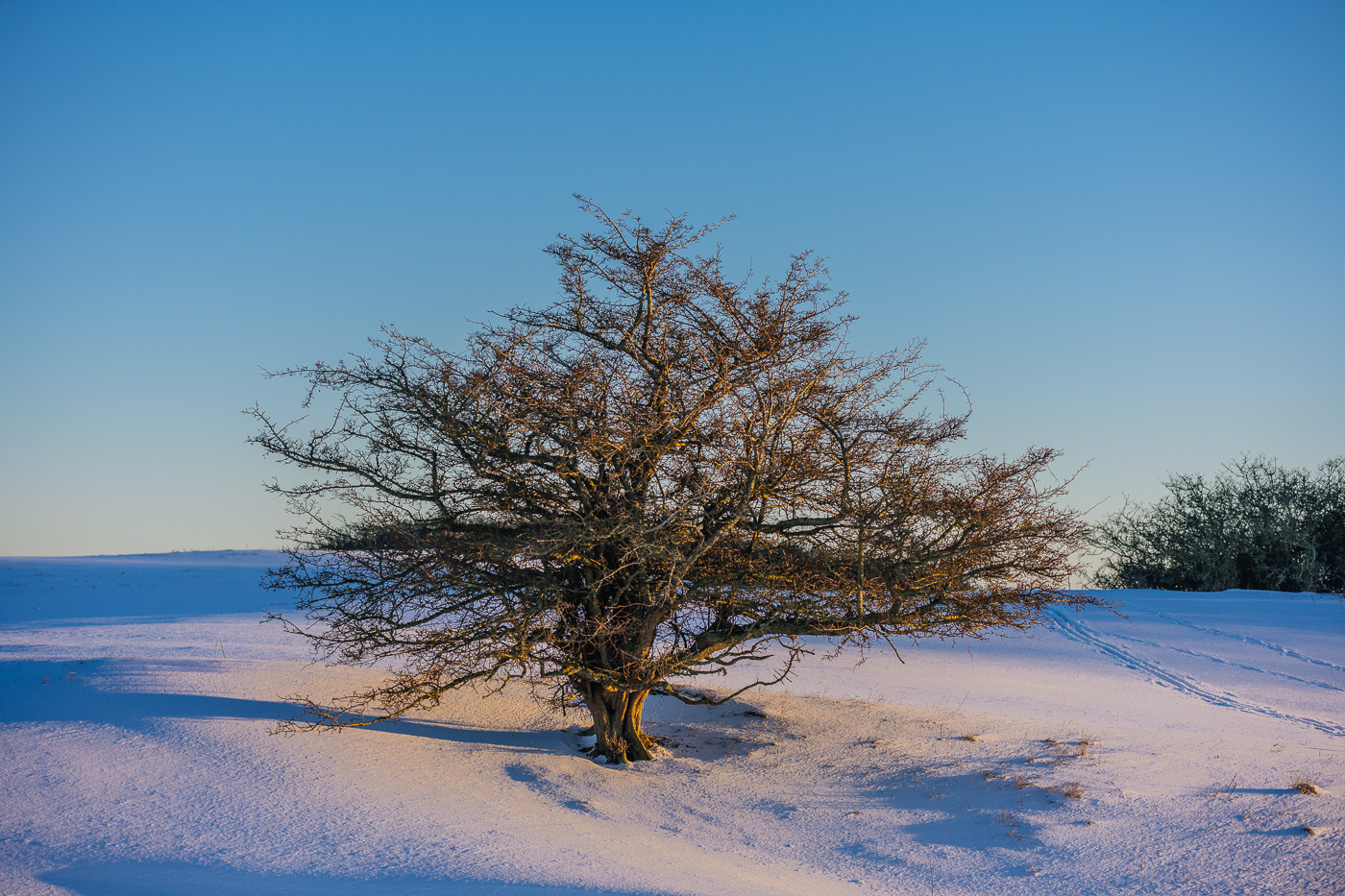 Winter in den Zickerschen Bergen