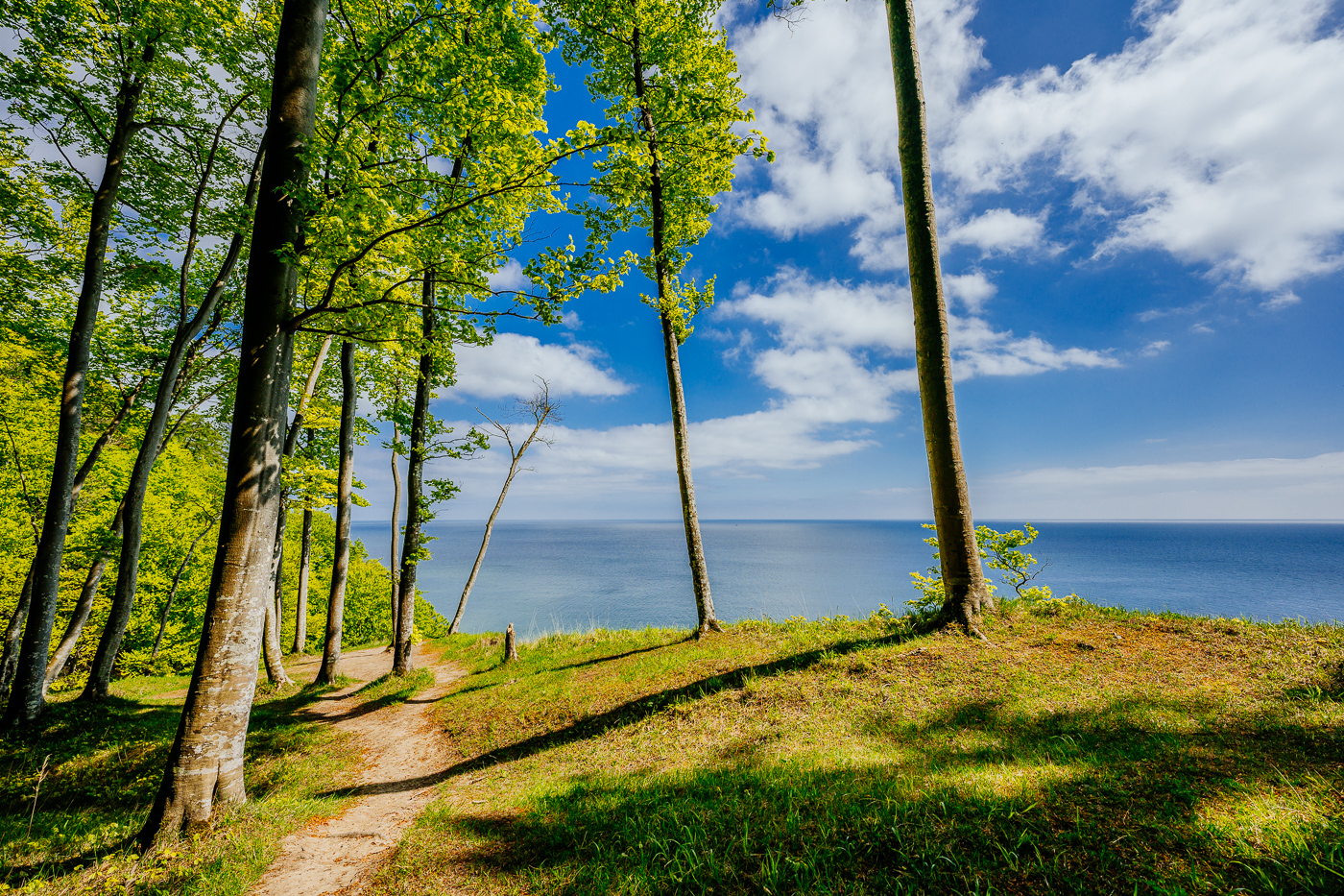 Buchen und Ostsee im Nationalpark Jasmund