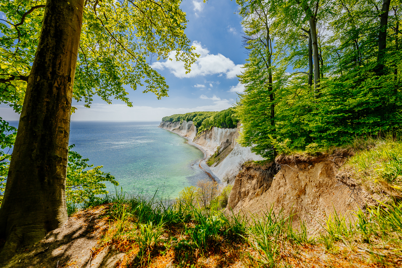 Die schöne Aussicht an der Kreideküste im Nationalpark Jasmund