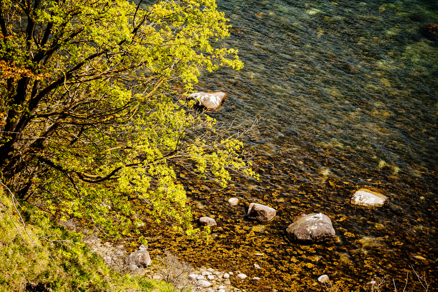 Findlinge am Strand im Nationalpark Jasmund