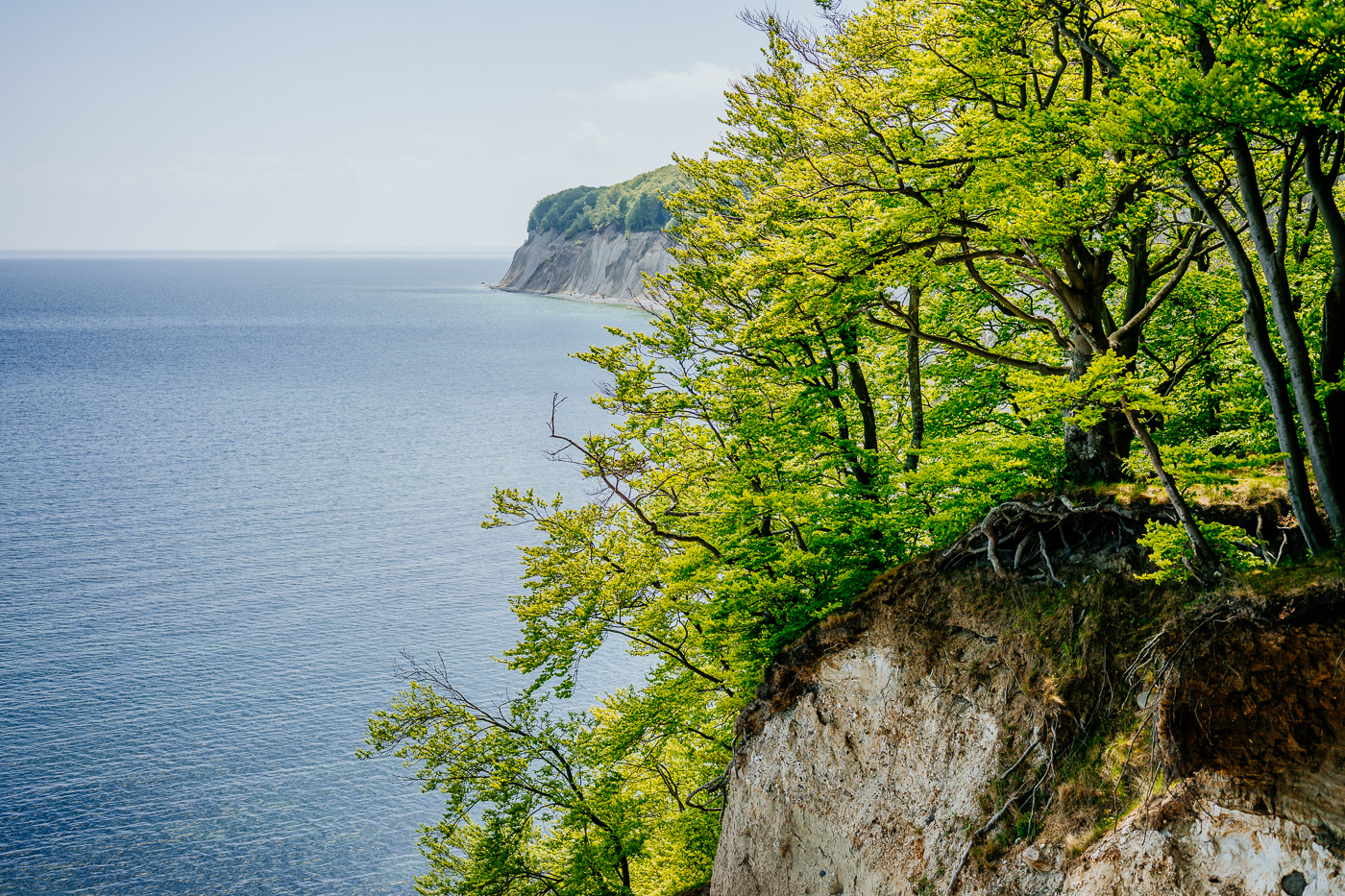 Aussicht an der Kreideküste von Rügen