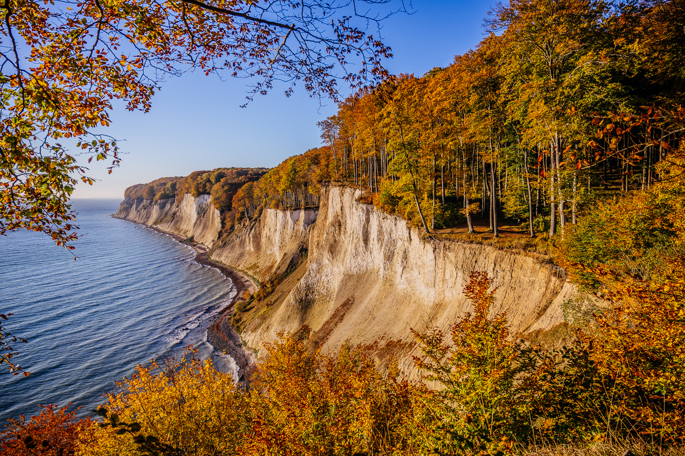 Herbst an der Kreideküste von Rügen