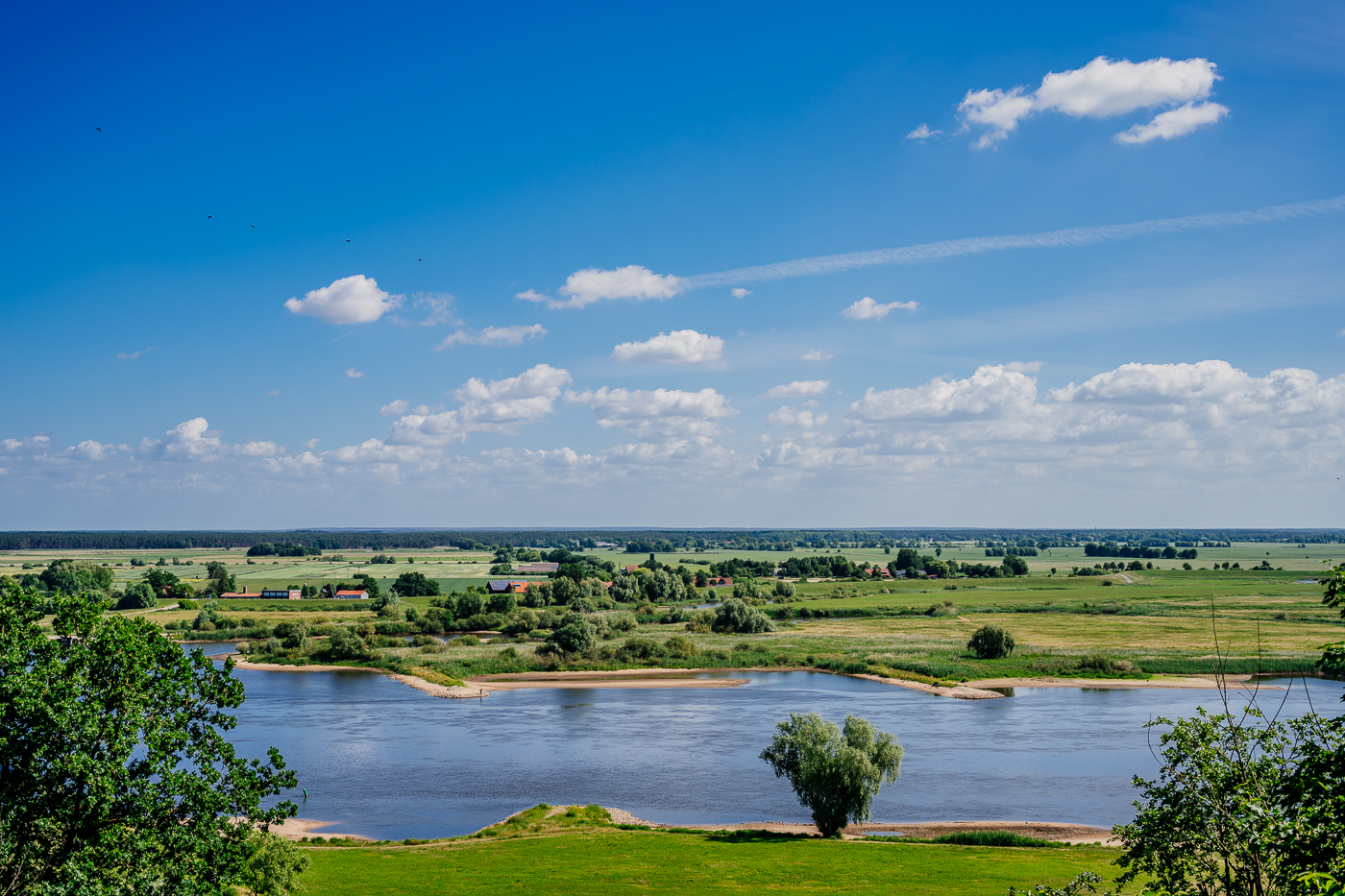 Blick von Hitzacker über die Elbe 