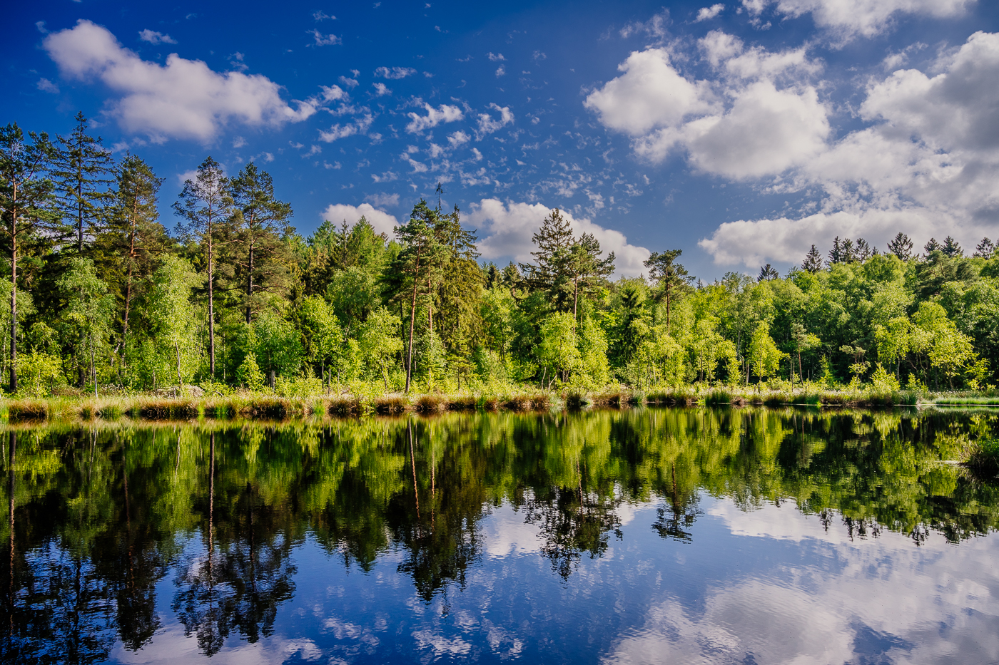 Schwarzer See bei Wrangelsburg in Vorpommern mit Waldspiegelung und Wolken über dem Wasser.