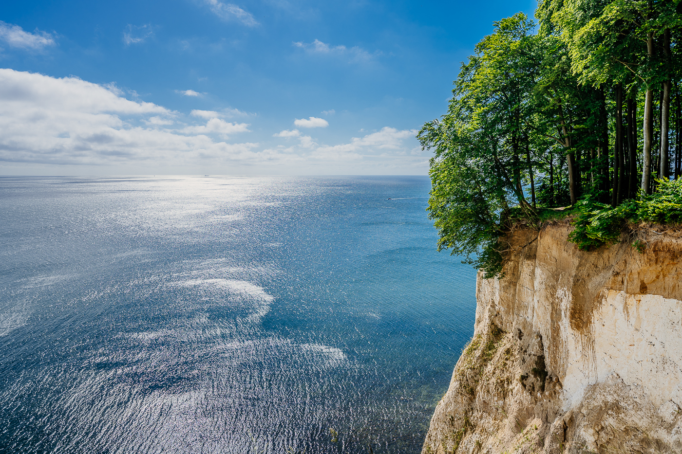 Kreideküste im Nationalpark Jasmund auf Rügen im Juni mit Buchenwald und glitzernder Ostsee.