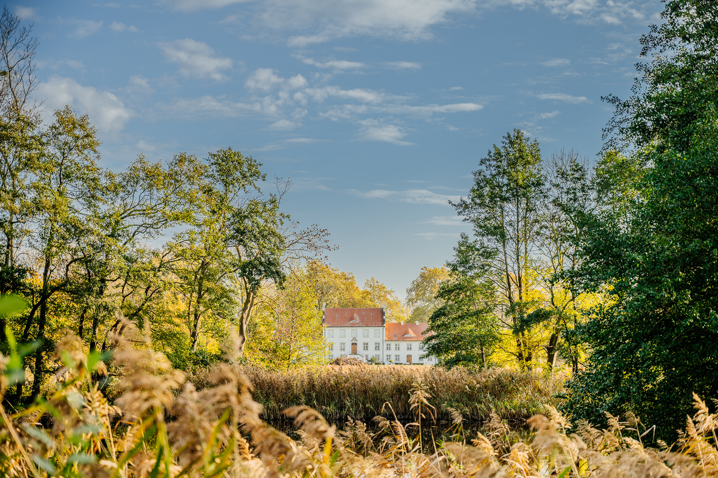 Gutshaus Boldevitz auf Rügen hinter Schilf und Bäumen in der Gutsanlage.