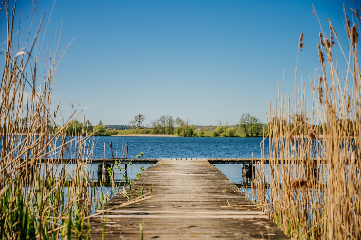 Badesteg am Serrahner See