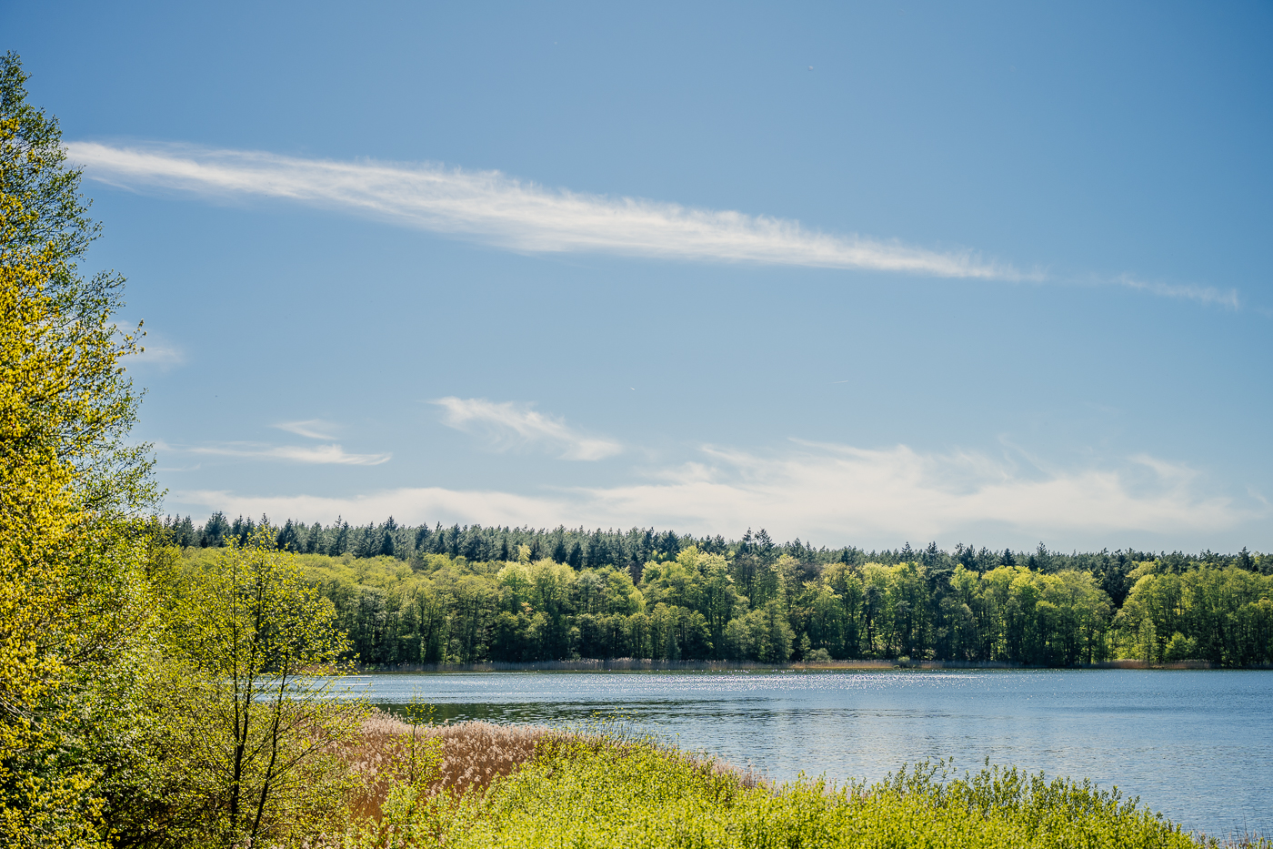 Blick vom Aussichtsturm Seeadler auf den Krakower See und das Naturschutzgebiet