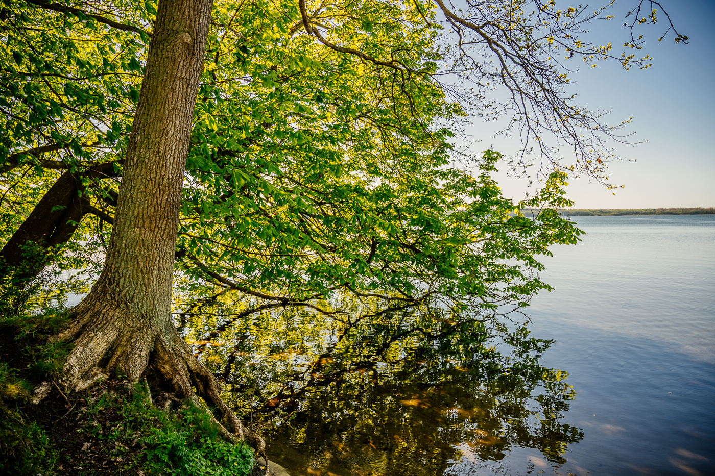 Am Ufer des Krakower See bei Glave