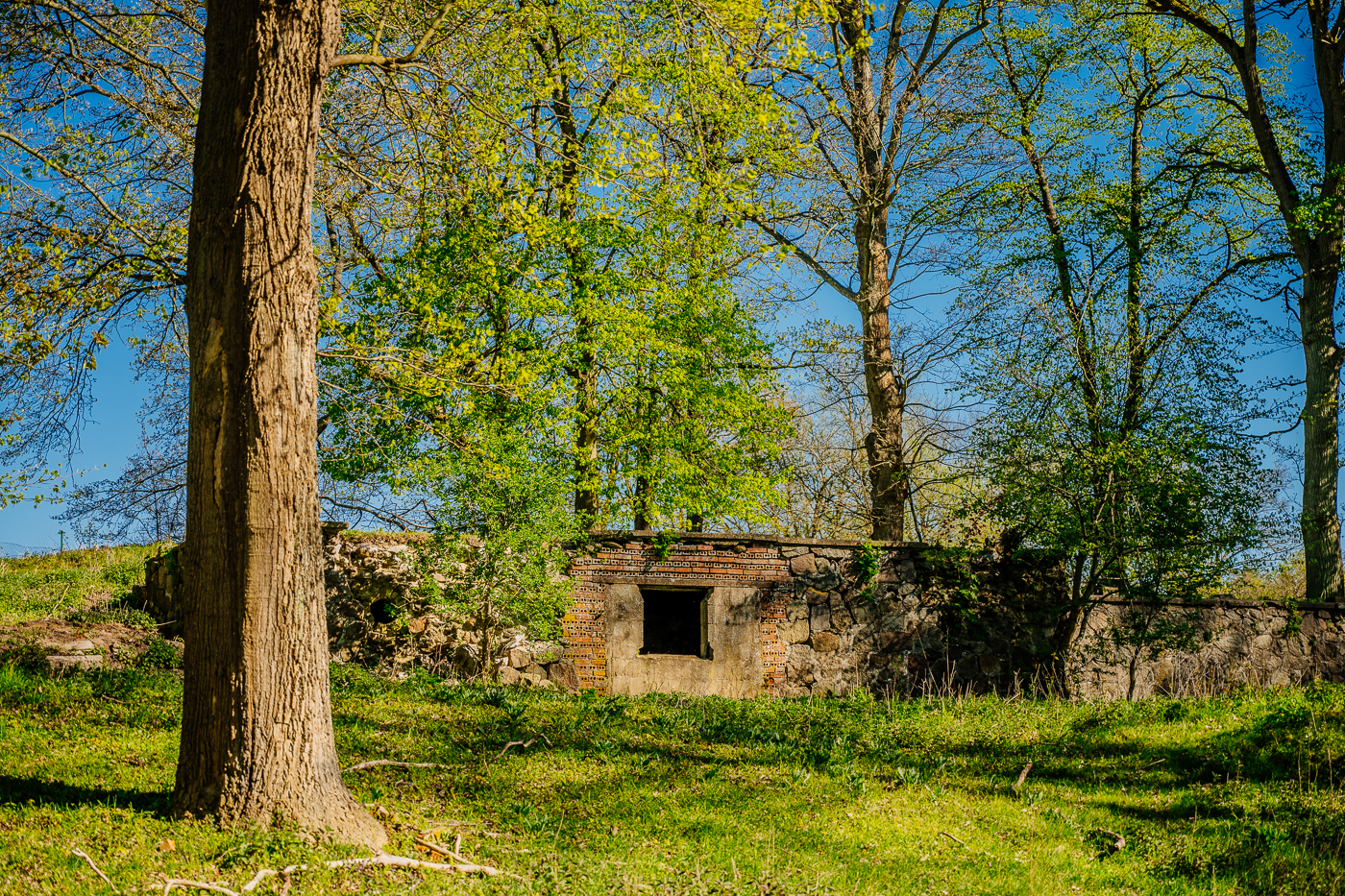 Schlossruine in Glave in Mecklenburg
