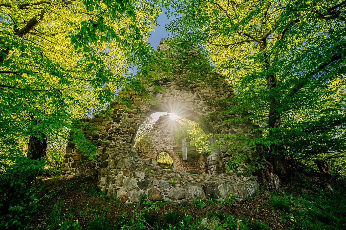 Kirchenruine Domherrenhagen in der Umgebung von Schloss Ulrichshusen