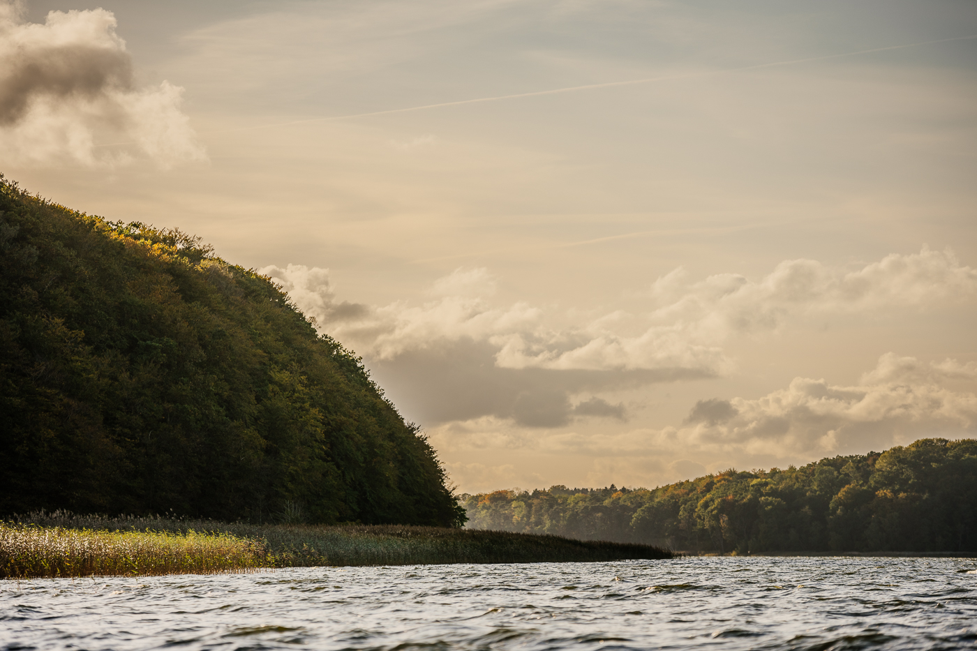 Kleiner Jasmunder Bodden auf Rügen im Herbstlicht mit Schilfufer, Wald und weitem Himmel.