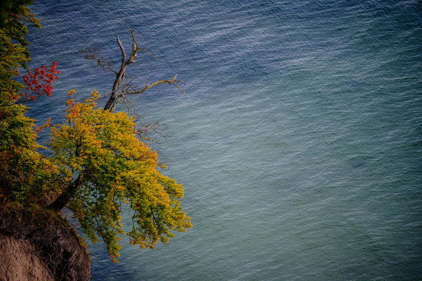 Herbstliche Stimmung an der Kreideküste von Rügen